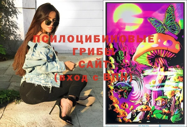 бошки Абинск