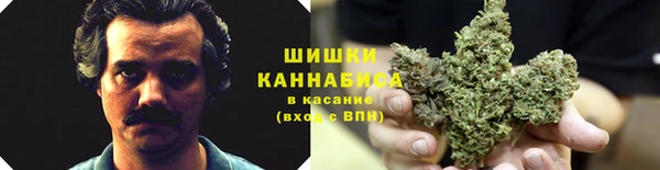 бошки Абинск