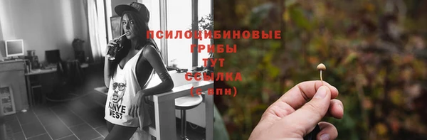 spice Остров