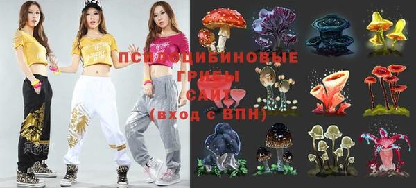 бошки Абинск